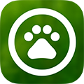 DigiSmart Writing app icon